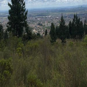 美女被插色哟哟
